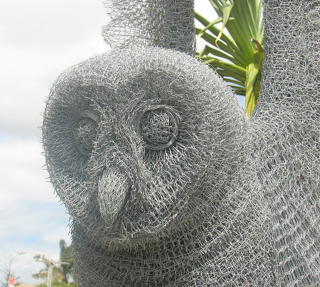 247015716_122eb03997_z